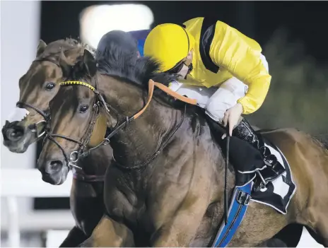  ??  ?? Forjatt, with jockey Christophe­r Hayes on board, beat Jaaref by half-a-length margin in Abu Dhabi