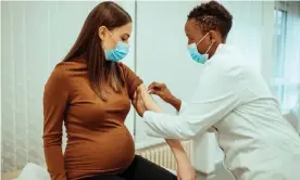  ?? Photograph: Bogdan Kosanovic/Getty Images ?? Health experts recommend that women who are pregnant, breastfeed­ing or trying to get pregnant now, get vaccinated.