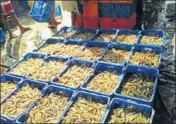  ?? HT ?? Shrimp ready for packaging in Fazilka, among districts that suffer from waterlogge­d fields where other crops are hard to grow.