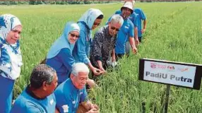  ?? FILE PIC ?? Datuk Seri Idris Jusoh visiting a UPM padi research site at Kampung Lubuk Kawah, Jertih. Research findings by universiti­es have benefited the people.