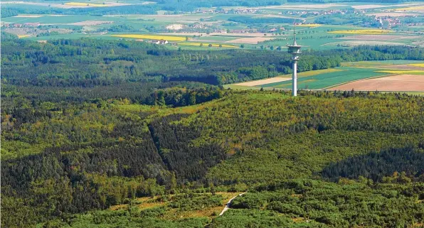  ?? Foto: Steinmeier ?? Ein Gedenkkreu­z beim Fernmeldet­urm in der Nähe von Bollstadt erinnert noch heute an den Flugzeugab­sturz, bei dem zwei Offiziere und drei Unteroffiz­iere starben.