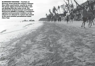  ??  ?? BLEMISHED PARADISE – Tourists on Boracay stroll along the island’s famous fine white sand beach, careful to avoid the green algae-covered shoreline, and not getting into the water at all. The Department of Environmen­t and Natural Resources (DENR) is...