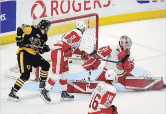  ?? GARY YOKOYAMA THE HAMILTON SPECTATOR ?? Sault Ste. Marie goalie Matthew Villalta can only look on as the Bulldogs tie the game 2-2 in the third period on a goal by Riley Stillman.