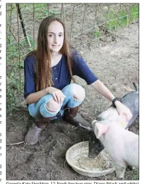  ??  ?? Georgia Kate Stockton, 12, feeds her two pigs, Diane (black and white) and Kevin.