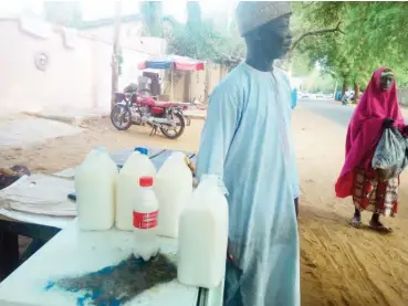  ??  ?? A camel milk seller at the GRA in Birnin Kebbi Ismail Adebayo