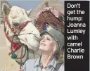  ??  ?? Don’t get the hump: Joanna Lumley with camel Charlie Brown