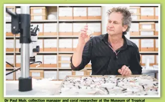  ?? Picture: SUPPLIED ?? Dr Paul Muir, collection manager and coral researcher at the Museum of Tropical Queensland.