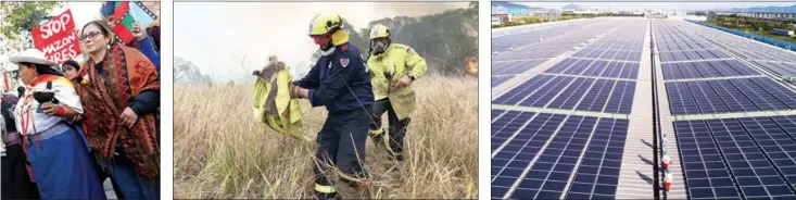  ?? RAFAEL MARCHANTE / REUTERS PAUL SUDMALS / REUTERS XU YU / XINHUA ?? Firefighte­rs rescue a koala last month in Jacky Bulbin Flat, New South Wales, Australia. An auto factory in Huzhou, Zhejiang province, uses solar panels to generate power as part of the city’s clean energy campaign.