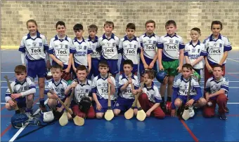  ??  ?? The Aughrim indoor hurlers.