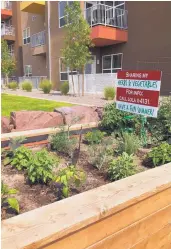  ?? STEVE SINOVIC/JOURNAL ?? A community garden is a popular amenity at The Neighborho­od, a facility designed for active and healthy lifestyles.