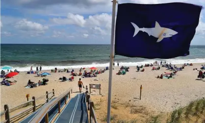  ??  ?? A shark flag blows in the wind at Nauset beach in Orleans. Cape Cod wildlife officials have warned the 4 July holidays are peak season for sharks too. Photograph: Boston Globe/Boston Globe via Getty Images