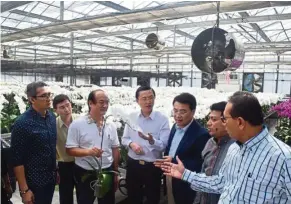  ??  ?? Tee (middle) visiting an orchid farm as part of his official visit to Taiwan in December last year. With him is state Agricultur­e and Agro-Based Industry Committee chairman Ismail Mohamed (second from right), Malaysia Pineapple Industrial Authority...