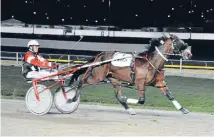  ?? Photo: TAYLER STRONG ?? John Dunn drives Franco Cristiano to victory in Thursday night’s Sires’ Stakes heat at Forbury Park.