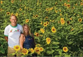  ?? LORRIE CECIL / THISWEEK ?? Utica farmer Marshall Branstool and his girlfriend Cindy Zaino of Branstool Orchards stand in a field of sunflowers they grew after all their peach trees died during the extreme temperatur­e changes in January.