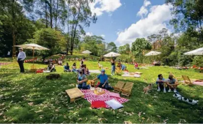  ?? FOTO ?? El parque Bosques de La Frontera está ubicado en la calle 18 sur con la carrera 43A, conocida como avenida El Poblado, y acaba de ser entregado para disfrute de la comunidad.