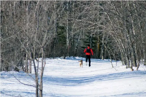  ??  ?? » Bottom Even in winter, some runners brave the elements to run with their best friend through the off-leash area of Terwillega­r Park in the River Valley