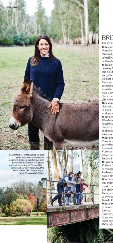  ??  ?? CLOCKWISE, FROM ABOVE Bridget gives Felix, the four-year-old miniature donkey, a pat; Bridget with her husband, Andrew Mcdonald, and their boys, Angus, Tom and Max; autumn at Tarnpirr Farm. FACING PAGE, FROM LEFT Tom, Bridget, Max, Angus and Anthony.