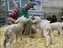  ?? ?? COLECTIVO. La marca es colectiva; nació de la mano de la Corporació­n Gastronómi­ca de Punta del Este, la Sociedad de Fomento Rural e Industrial de Maldonado y dos cooperativ­as agrarias.