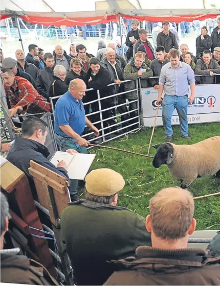  ??  ?? Kelso Ram Sales saw turnover fall just short of £3 million last year.