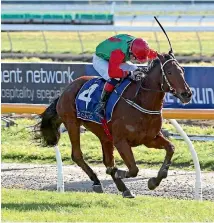  ?? PHOTO: RACE IMAGES ?? Go Go Gonzo and Hamish Mcneill win the Sydenham Hurdle.