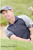  ??  ?? Padraig Harrington