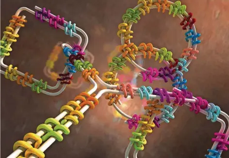  ?? GRAFIK: ELLA MARU STUDIO & DIETZ LAB / TUM ?? Beim sogenannte­n DNA-Origami versuchen Molekularb­iologen, das Molekül der Erbinforma­tion (DNA), das hier grau gefärbt ist, mit sogenannte­n Klammerpro­teinen (bunt) in Form zu bringen. Mit dieser Technik sollen künftig einmal winzige Nanomaschi­nen gebaut...