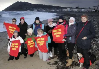  ??  ?? Members of Na Snamhiní celebrate Nollaig na mBan on dry land.