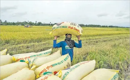  ?? INTERNET ?? Contexto. La guerra entre Rusia y Ucrania, proveedore­s fuertes de insumos agrícolas, genera escasez de esta oferta en mercados internacio­nales.