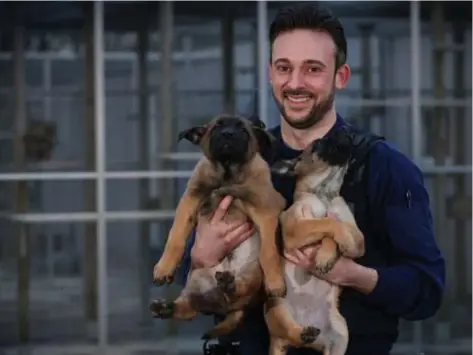  ?? FOTO DICK DEMEY ?? “Slachtoffe­rs van de broodfok bellen altijd te laat: als ze al een hondje hebben gekocht. Wat we bij die fokker dan vaak aantreffen, is verschrikk­elijk”, zegt inspecteur Serge Jaeken.