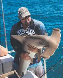  ?? Rick Ryznar says bull and whaler sharks are a bigger problem than the hammerhead he caught and released last weekend. ??