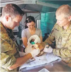  ??  ?? This handout photo shows Australian Army veterinari­an Captain Garnett Hall (left), Kangaroo Island Wildlife Park owner Dana Mitchell (centre) and Private Alexie Tarasov from the 10th/27th Battalion, Royal South Australia Regiment bandaging one of many burnt koalas being treated at the Kangaroo Island Wildlife Park in Kingscote.