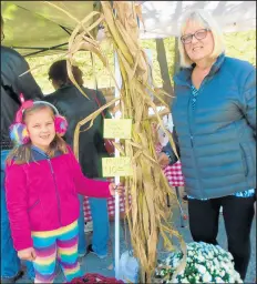  ?? SUE ELLEN ROSS/POST-TRIBUNE ?? Lorrraine Brown, of Highland, right, and her granddaugh­ter Kaylee, 6, of St. John, enjoyed the Festival of the Trail.