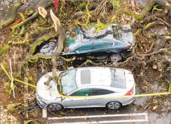  ?? Myung J. Chun Los Angeles Times ?? A FALLEN TREE covers cars Sunday at the El Camino Shopping Center in Woodland Hills. “Our goal is [to] maximize the federal support we can bring to communitie­s,” a state official said of storm recovery efforts.