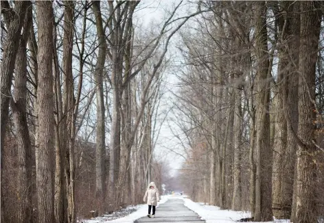  ?? DAX MELMER ?? Windsor’s South Cameron woodlot on Friday. On urging by Mayor Drew Dilkens, the Ford government has axed a developmen­t restrictio­n.