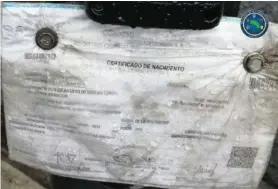  ?? MSP ?? El pinolero sacó tiempo para emplastica­r y atornillar el certificad­o.