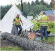  ?? FOTO: DPA ?? Auf diesem Zeltlager-Gelände wurde ein Jugendlich­er von einem Baum erschlagen.