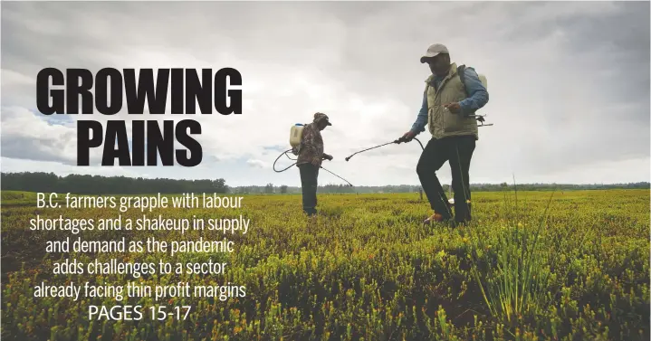  ?? ARLEN REDEKOP/POSTMEDIA ?? Migrant workers Victor Serrano Vargas and Juan Dias at work spraying a crop on a Barnston Island farm in Surrey.