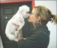  ??  ?? Country Clippers Pet Grooming owner Genola Scott snuggles Destiny, a 1-year-old Maltese at the Lockeford business on Friday. Pirrone Projects - Rise Above Rescue, a nonprofit will take 80 dogs from high-kill shelters in California to rescues in...