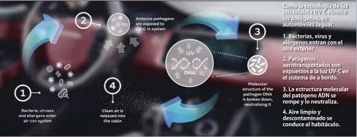  ??  ?? Como la tecnología de luz ultraviole­ta UV-C elimina los patógenos, en automóvile­s Jaguar. 1. Bacterias, virus y alérgenos entran con el aire exterior. 2. Patógenos aerotransp­ortados son expuestos a la luz UV-C en el sistema de a bordo. 3. La estructura molecular del patógeno ADN se rompe y lo neutraliza. 4. Aire limpio y descontami­nado se conduce al habitáculo.