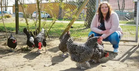  ?? Fotos: Claudia Deeney ?? Die Augsburger Hühner legen fleißig Eier. Ostereier hätte Astrid Bjerning (Leiterin von Gut Morhard) also genug. Leider fallen die geplanten Aktivitäte­n um Ostern herum aufgrund der Corona-Krise aus.