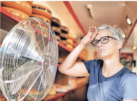  ?? RP-FOTO: STEPHAN KÖHLEN ?? Hitze auf dem Wochemarkt: Imke van Kaathoven hat einen großen Ventilator in ihrem Käsestand aufgestell­t.