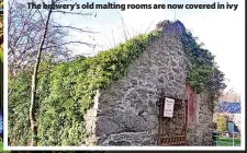  ?? ?? The brewery’s old malting rooms are now covered in ivy