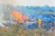  ?? ?? Personal de los bomberos combaten las llamas en un pastizal.
