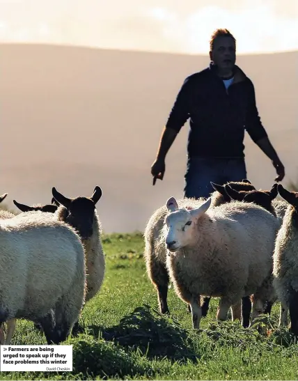  ?? David Cheskin ?? > Farmers are being urged to speak up if they face problems this winter