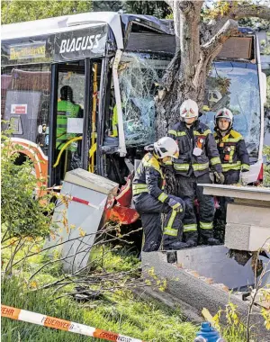  ?? BILD: SN/APA/TOBIAS STEINMAURE­R ?? Erst ein Baum stoppte den führerlose­n Linienbus.