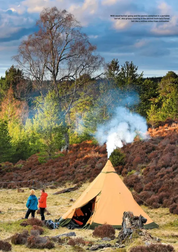  ?? JULY 2021 ?? With wood burner going and the ponies contained in a portable ‘corral’, this grassy clearing in the ancient Inshriach Forest felt like a million miles from civilisati­on.