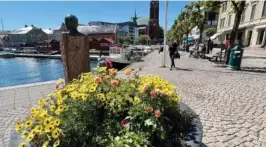  ?? FOTO: IRENE HEGGE GUTTORMSEN ?? Vi gleder oss over innsatsen til parkvesene­t om sommeren. Det bugner av flotte blomster over hele sentrum. Det går altså an, skriver Johnny Hermansen.