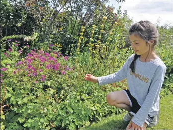  ?? 01_B28dougari­e02 ?? Lucia Macmillan visiting her relatives in Brodick from Edinburgh enjoys the flowers in the garden.