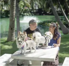  ?? — Reuters file photo ?? German Ralf Wacker and his wife Ploynisa Duangdarar­ungrueng with their dogs at a park near their house in Ayutthaya province, Thailand.