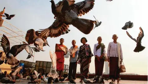  ?? Foto: Heng Sinith, ap, dpa ?? Kambodscha ist das Land mit den weltweit meisten Feiertagen. Da bleibt den Menschen etwa Zeit, die Tauben vor dem Königspala­st zu füttern.
